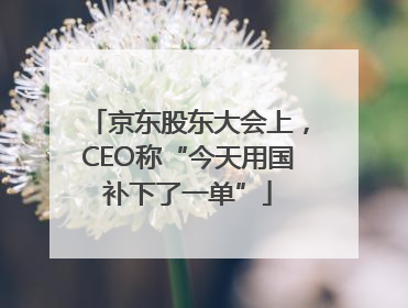 京东股东大会上，CEO称“今天用国补下了一单”