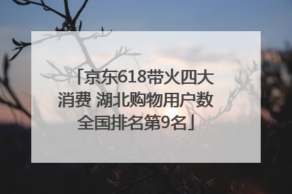 京东618带火四大消费 湖北购物用户数全国排名第9名