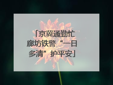 京冀通勤忙 廊坊铁警“一日多清”护平安