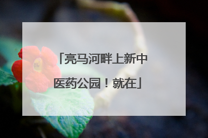 亮马河畔上新中医药公园！就在