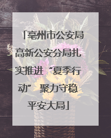 亳州市公安局高新公安分局扎实推进“夏季行动” 聚力守稳平安大局