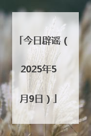 今日辟谣（2025年5月9日）