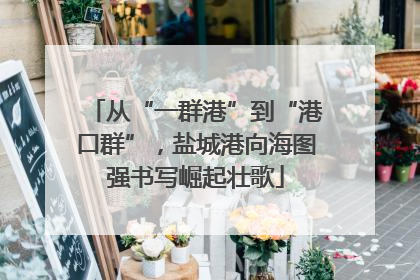 从“一群港”到“港口群”，盐城港向海图强书写崛起壮歌