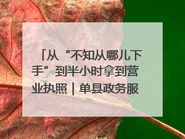 从“不知从哪儿下手”到半小时拿到营业执照｜单县政务服务与群众期待的“双向奔赴”