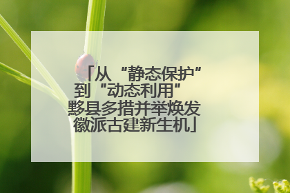 从“静态保护”到“动态利用” 黟县多措并举焕发徽派古建新生机