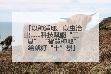 以种适地、以虫治虫……科技赋能“三夏” “智慧种地”绘就好“丰”景