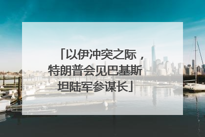 以伊冲突之际，特朗普会见巴基斯坦陆军参谋长