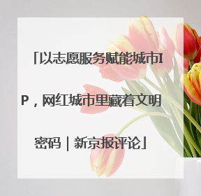 以志愿服务赋能城市IP，网红城市里藏着文明密码｜新京报评论
