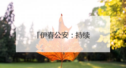伊春公安：持续坚守“护学岗” 当好“护学人”