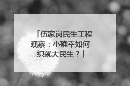 伍家岗民生工程观察：小确幸如何织就大民生？