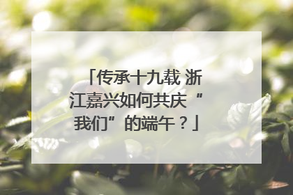 传承十九载 浙江嘉兴如何共庆“我们”的端午？