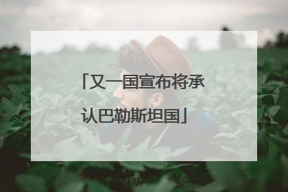 又一国宣布将承认巴勒斯坦国