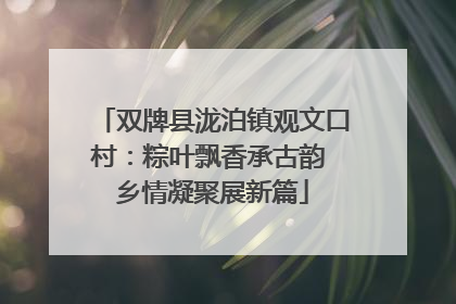 双牌县泷泊镇观文口村：粽叶飘香承古韵 乡情凝聚展新篇