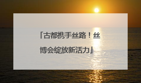古都携手丝路！丝博会绽放新活力