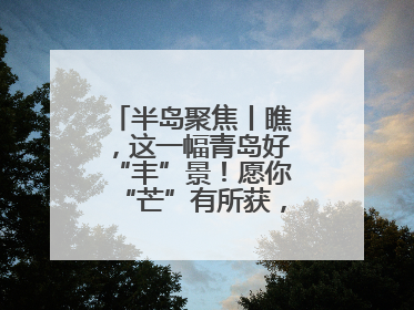 半岛聚焦丨瞧，这一幅青岛好“丰”景！愿你“芒”有所获，“种”有所得