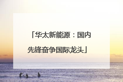 华太新能源：国内先锋奋争国际龙头
