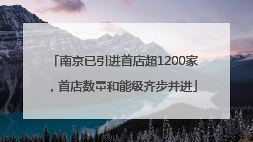 南京已引进首店超1200家，首店数量和能级齐步并进