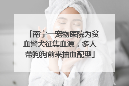南宁一宠物医院为贫血警犬征集血源，多人带狗狗前来抽血配型