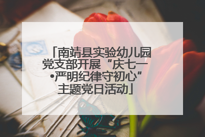南靖县实验幼儿园党支部开展“庆七一•严明纪律守初心”主题党日活动