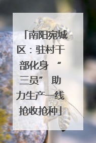 南阳宛城区：驻村干部化身 “三员” 助力生产一线抢收抢种