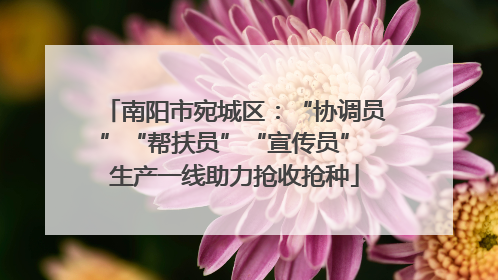 南阳市宛城区：“协调员”“帮扶员”“宣传员” 生产一线助力抢收抢种