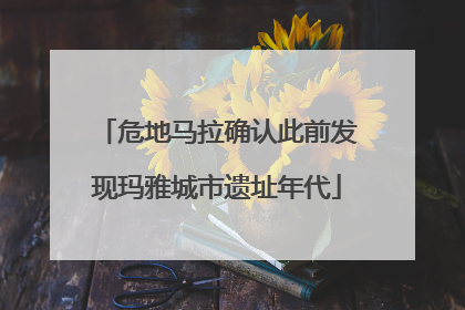 危地马拉确认此前发现玛雅城市遗址年代