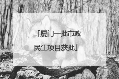厦门一批市政民生项目获批