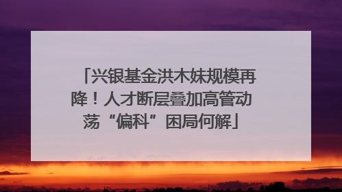 兴银基金洪木妹规模再降！人才断层叠加高管动荡“偏科”困局何解