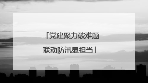 党建聚力破难题 联动防汛显担当