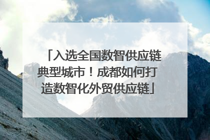 入选全国数智供应链典型城市！成都如何打造数智化外贸供应链