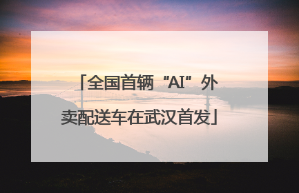 全国首辆“AI”外卖配送车在武汉首发