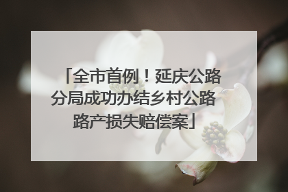 全市首例！延庆公路分局成功办结乡村公路路产损失赔偿案