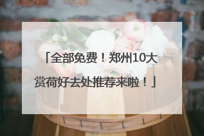 全部免费！郑州10大赏荷好去处推荐来啦！