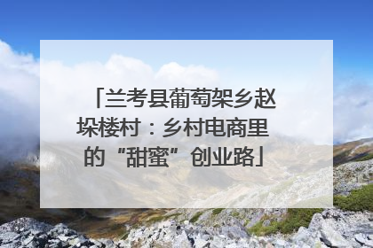 兰考县葡萄架乡赵垛楼村：乡村电商里的“甜蜜”创业路