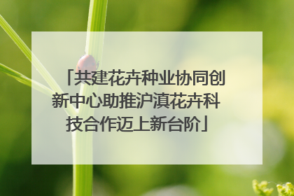 共建花卉种业协同创新中心助推沪滇花卉科技合作迈上新台阶