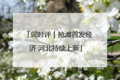 冀时评｜抢滩首发经济 河北持续上新