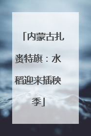 内蒙古扎赉特旗：水稻迎来插秧季