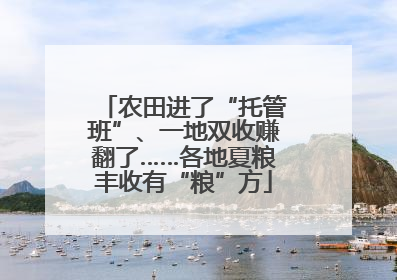 农田进了“托管班”、一地双收赚翻了……各地夏粮丰收有“粮”方