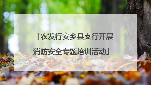 农发行安乡县支行开展消防安全专题培训活动
