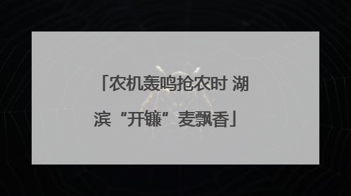 农机轰鸣抢农时 湖滨“开镰”麦飘香