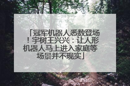 冠军机器人悉数登场！宇树王兴兴：让人形机器人马上进入家庭等场景并不现实