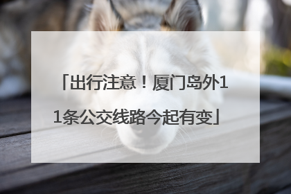 出行注意！厦门岛外11条公交线路今起有变