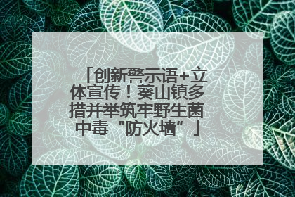 创新警示语+立体宣传！葵山镇多措并举筑牢野生菌中毒“防火墙”