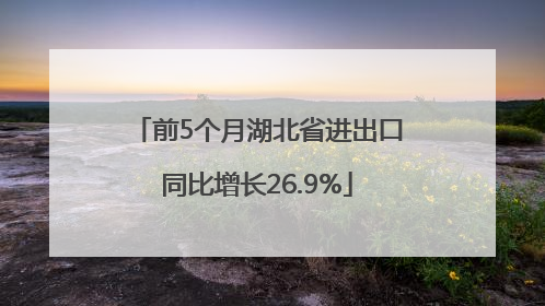 前5个月湖北省进出口同比增长26.9%