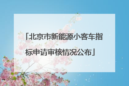 北京市新能源小客车指标申请审核情况公布