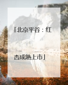 北京平谷：红杏成熟上市