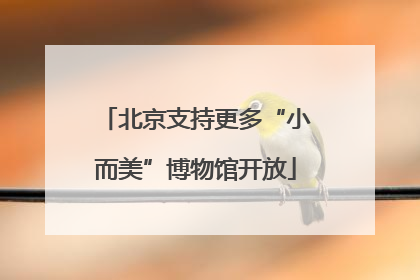 北京支持更多“小而美”博物馆开放
