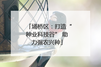 埇桥区：打造“种业科技谷” 助力强农兴种
