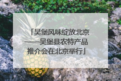 吴堡风味绽放北京——吴堡县农特产品推介会在北京举行