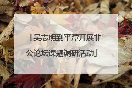 吴志明到平潭开展非公论坛课题调研活动